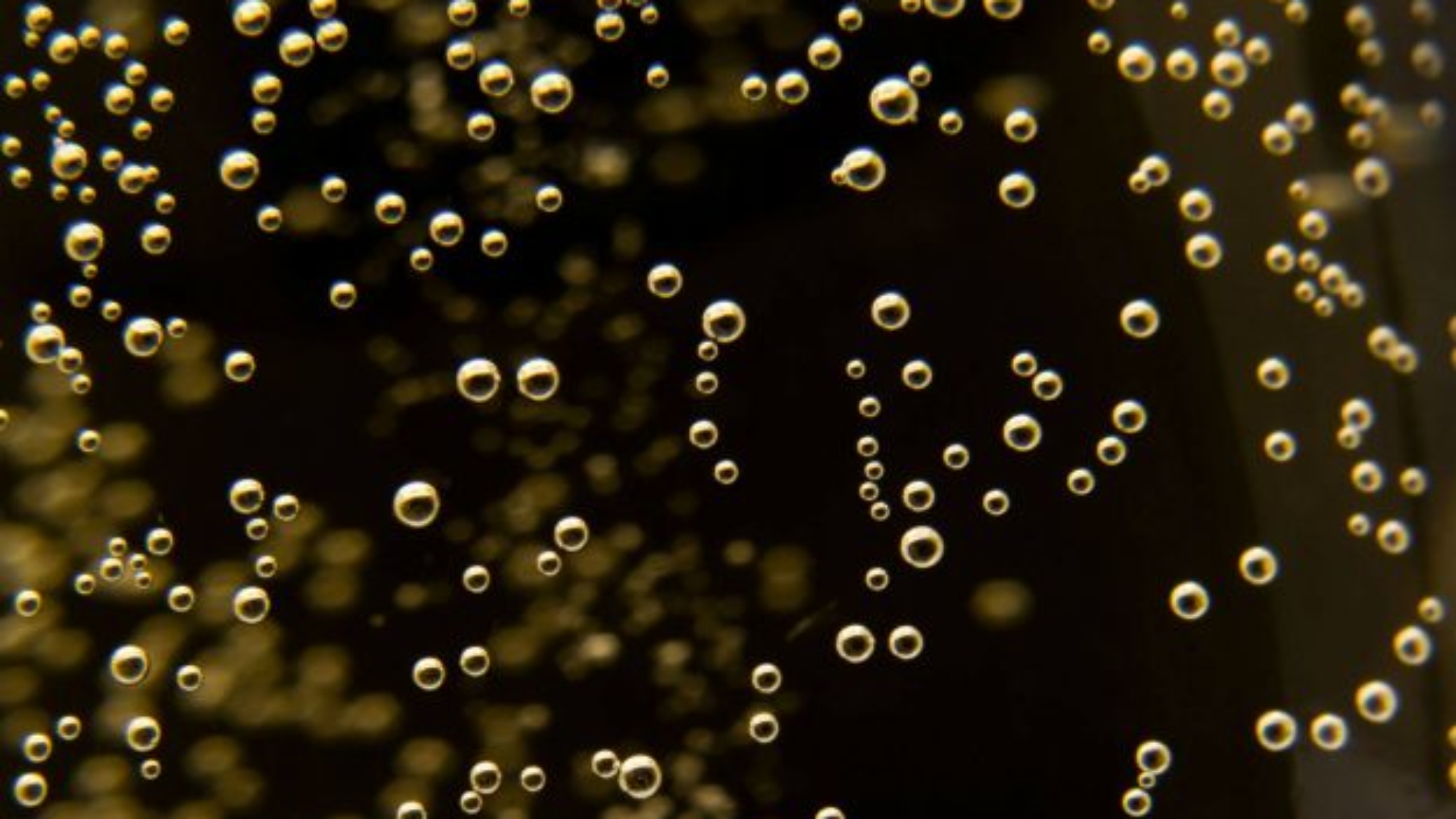 Bollicine